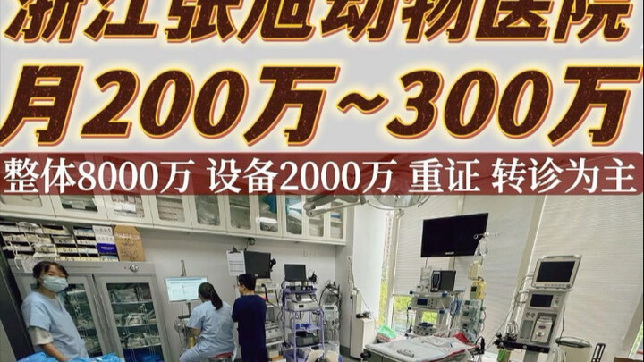 Bệnh viện Thú y Trương Húc Chiết Giang: Doanh thu 2–3 triệu/tháng