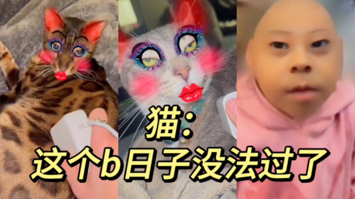 Bluetooth connection successful!