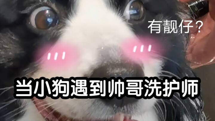 Ever seen a puppy swooning over someone? Well! Now you’re about to!!!