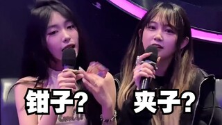 到底是钢铁钳子还是夹子