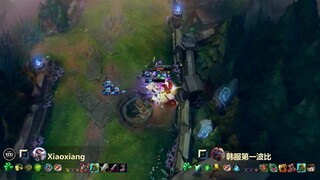 Korea Challenger - Pro Plays Highlights!!! #48