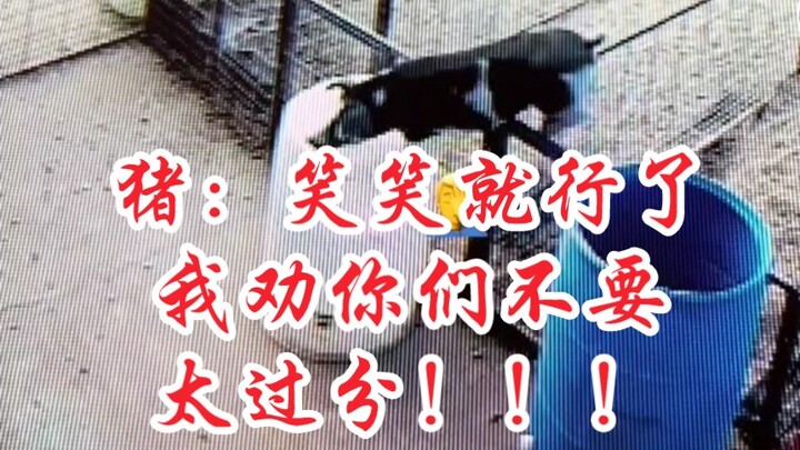 Lợn: Tao khuyên mày đừng cười quá đà!!!