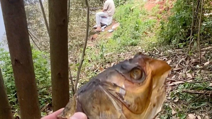 I fooled a big crucian carp, haha