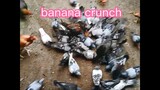 Easy cooked "Banana crunch"simple recipe 💕