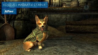 Skyrim: New Dog Replaced Mod