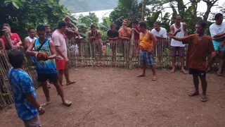Tupada muna.