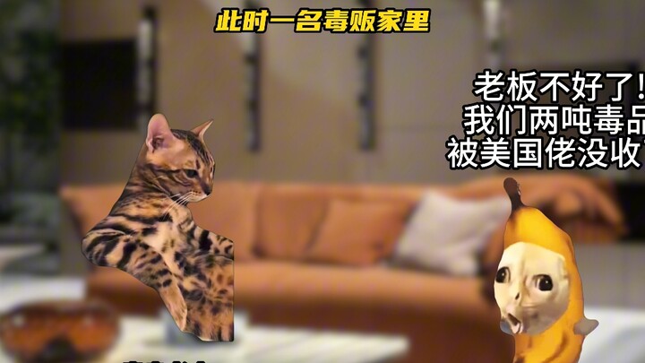 这招虽险，胜算却小