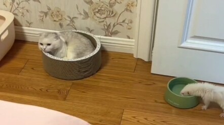 Who gets this?! I got beat up just for taking a sip of water!