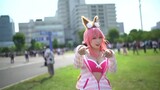 Cosplay Wukong bursting clothes beauty cosplay crowds, the last Yu-Gi-Oh, black magician girl appear