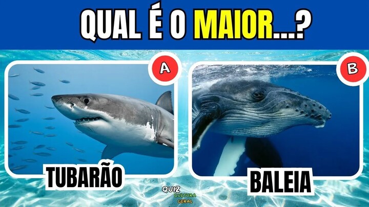 Quão bom é o seu Conhecimento Sobre ANIMAIS MARINHOS? 🐳Quiz de Cultura Geral 🐠🐙🦀