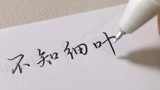 كتبُتُ الحروفَ لأكثرَ من عشرينَ عامًا، أيُّ سؤالٍ كانَ فاسألْ بِجُرأةٍ.