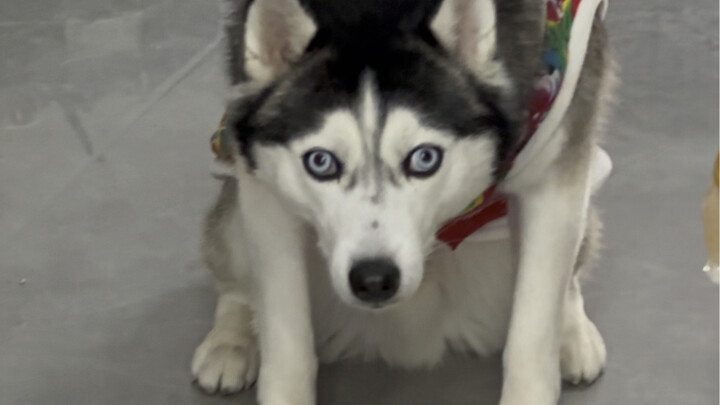 So freaking scary, deep meat!