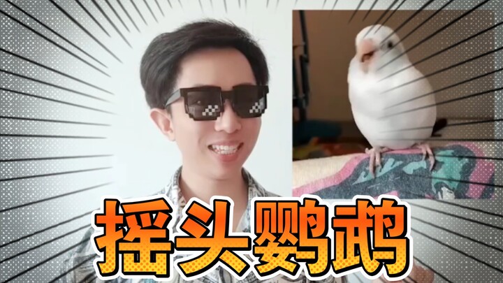 🕶️Revealing the Prototype of the Shaking-Head Parrot