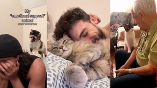 โชคดีที่ได้เจ้าแมวนี้มา แล้วจะไม่รักได้อย่างไร