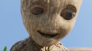 Supercut Marvel StudiosAm Groot # Disney😊