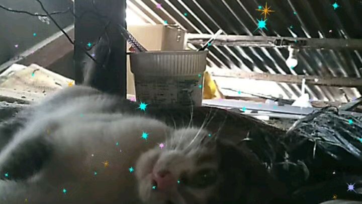 Rertas certsd & discd the Secret 😍😍😍😍