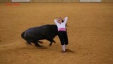 Bullfighting funny videos 2022 - Most awesome bullfighting festival #5 - Crazy b