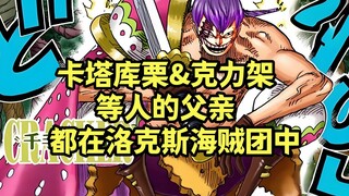 大妈前11个孩子的父亲找到了，洛克斯海贼团成员大都参与其中