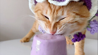 🐈เค้กลาวาเผือก Immersive Storm Inhalation Plus Edition💜