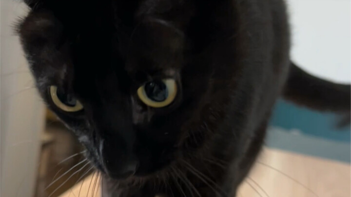 Bất lực quá, cứ vậy mà xuống đánh tôi một cú thật mạnh.