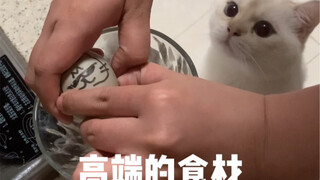 Trứng vịt Kol thật sự khó ấp quá