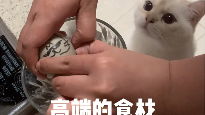 It's really tough to hatch Call ducks' eggs