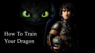 How To Train Your Dragon 2010 Hindi Dubbed 720p