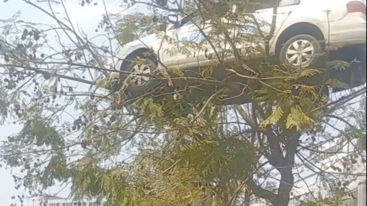 Is there still hope for this situation? #Rescue #AnimalProtection #ScienceEducation