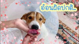 โลกของแสนดี ตอน อาการวันที่ 2 ทำไมอ้อนผิดปกติ..