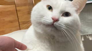 ครั้งหนึ่งที่เท้าเย็นยะเยือก ก็กลัวพื้นในภาคใต้ไปตลอดชีวิต...