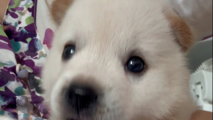 Obsessed with “Immortal Cultivation in a Mortal World” — that’s why today’s update is late!