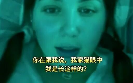 Dunia dalam pandangan kucing kecil... ternyata seperti ini..