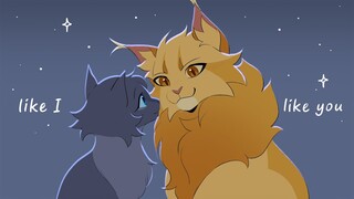 Like I like you - Lionblaze & Cinderheart PMV