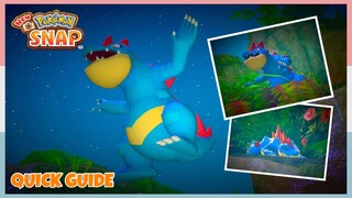 How To Make Feraligatr Dive In Mightywide River *Night* | New Pokemon Snap - Quick Guide