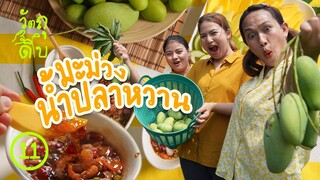 ปีนต้นมะม่วง ทำน้ำปลาหวาน - วัตถุดิบ EP 11