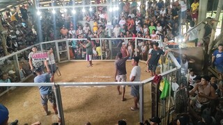 buyugon vs. dalosapi.