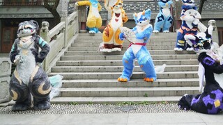 【Fursuitdance】Proyek spesial untuk ulang tahun pertama Hongmeng Creation! ! ! ! ! ! !