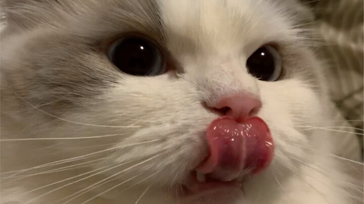 สาวหวานเรียกแฟนว่าที่รัก