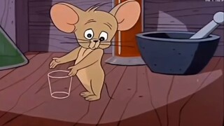 Sinh viên đại học đương đại viết tiểu luận