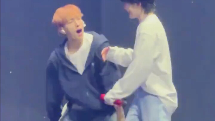 วูจีไม่ให้แบก น้องหมาโกรธจนกระทืบเท้า