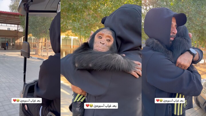 Đôi khi động vật còn trung thực hơn con người