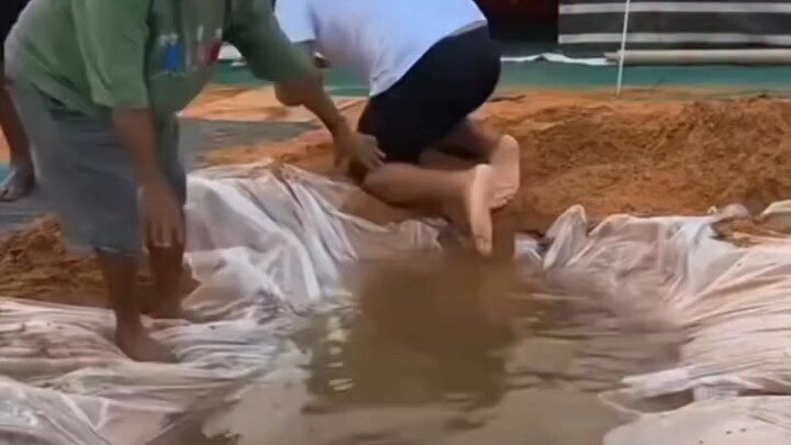 Arab comedy