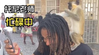 Those amazing animal videos!