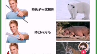 Which one has the best chance of winning?