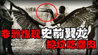 【康加玛托传说】喜欢吃人尸体的生物，困扰非洲多个地区的原住民