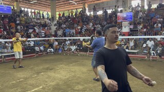 Super Putong bulik 1st fight win at Taal Coliseum Knights (Ashley Claire gameyard)