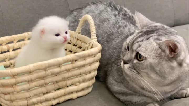 经过我的不懈努力，孩子的爸爸终于找到了！