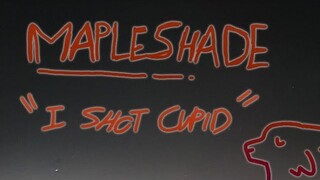 Mapleshade- i shot cupid (warrior cats)