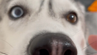 I only borrowed a dozen or so pieces—anyway, now I've got clothes to wear this winter.