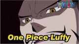 [One Piece] When His Crews Heard Luffy Lost His Brother